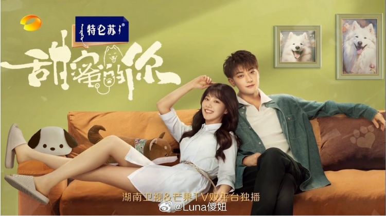 TOP 13 bộ phim làm nên tên tuổi của Hoàng Tử Thao